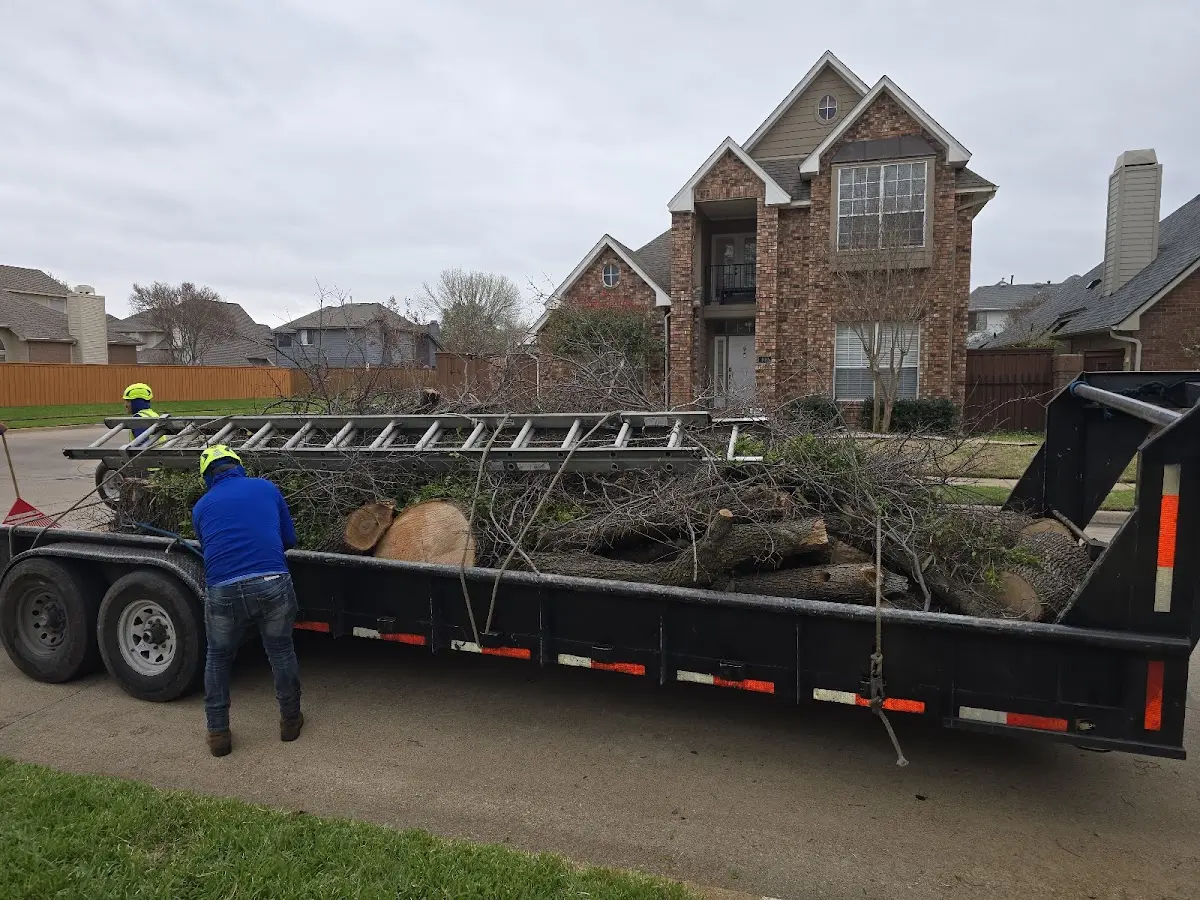 Expert Lot Clearing with proper safety equipment in Marland